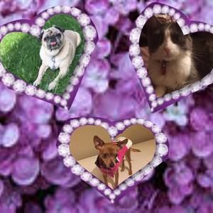 Meet your Posher, Denise